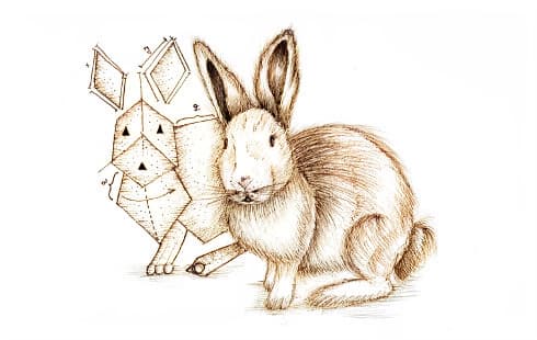 chapter image
