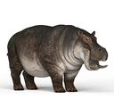 Hippo